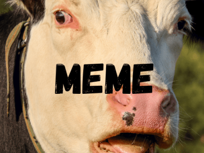 Be careful what you ask&nbsp;for…