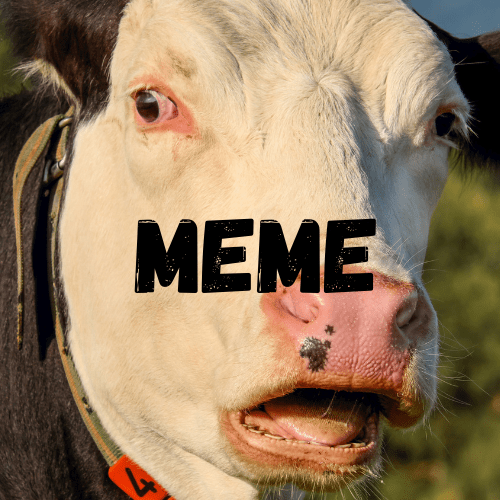 Be careful what you ask&nbsp;for…